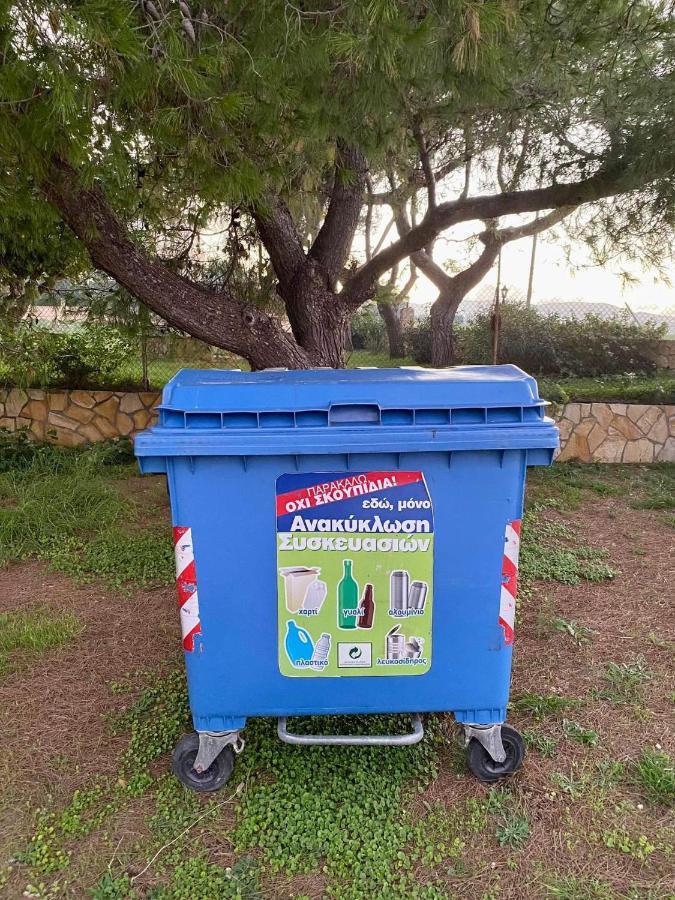 Stelios Studios Τραγάκι Εξωτερικό φωτογραφία