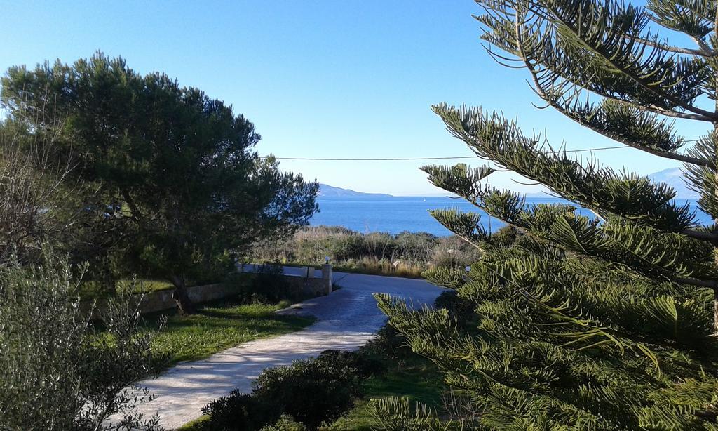 Stelios Studios Τραγάκι Δωμάτιο φωτογραφία