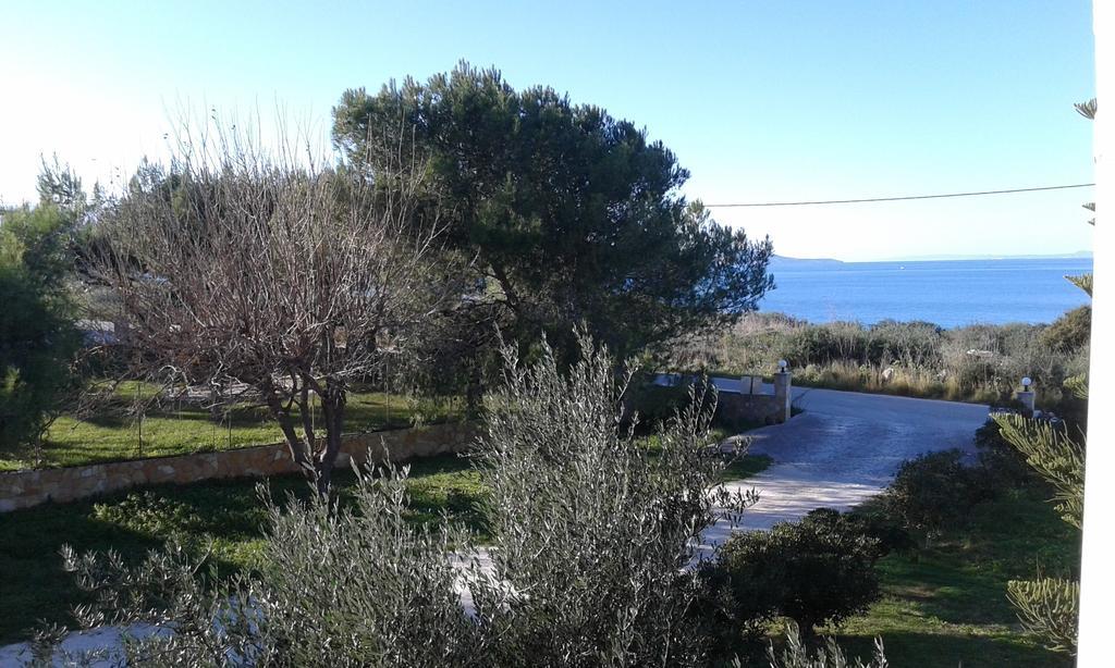 Stelios Studios Τραγάκι Δωμάτιο φωτογραφία